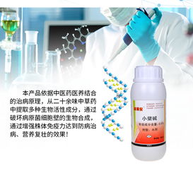 【火龍果潰瘍病防治技術(shù)新型生物農(nóng)藥潰腐靈靚果安大蒜油】-