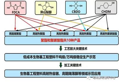 中科院寧波所生物基高分子團(tuán)隊(duì) 國(guó)家重點(diǎn)研發(fā)計(jì)劃項(xiàng)目獲批立項(xiàng)