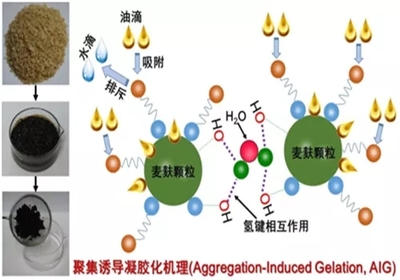 中科院新疆理化所馬鵬程研究員團隊在生物基凝油材料研究領(lǐng)域取得進展