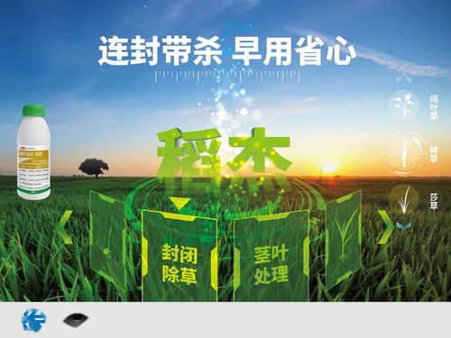 綠色生態(tài)農(nóng)業(yè)發(fā)展新時期的生物農(nóng)藥的機遇與挑戰(zhàn)