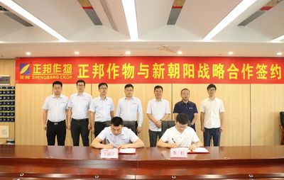 正邦作物與新朝陽簽署達成戰(zhàn)略合作