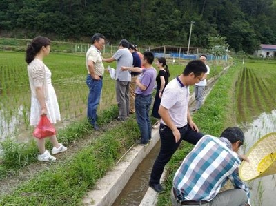 寧國:全國農(nóng)技推廣服務(wù)中心、中國水稻研究所、浙江省農(nóng)科院植保所專家來寧國市指導(dǎo)水稻病蟲綠色防控和農(nóng)藥減施增效