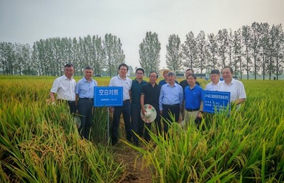 植物細(xì)菌性病害防控有了新選擇