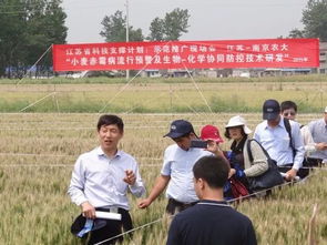 豐收中國 大美南農(nóng)