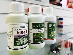 安全 環(huán)保 高效的生物農(nóng)藥,你了解多少