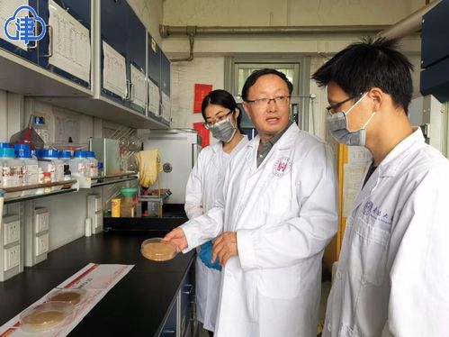 青春華章 巍巍南開 天開瑞來研發(fā)首個(gè) 作物癌癥 克星新農(nóng)藥 興農(nóng)再添新利器