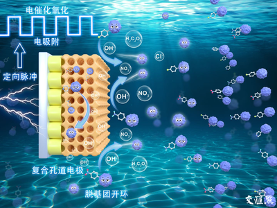 環(huán)科群英會(huì)丨十年科研攻關(guān) 他們?yōu)榛@區(qū)污染物高效降解“開藥方”