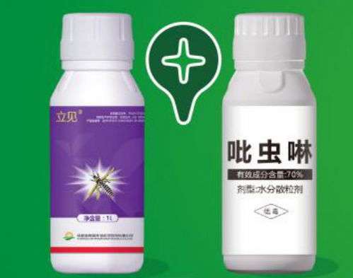 蚜蟲難治,究竟是什么原因 殺蚜絕招,不得不看
