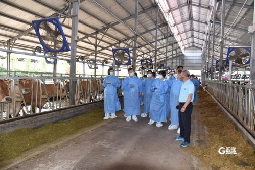 踐行 四下基層 創(chuàng)新 四級聯(lián)動 ,青島市舉辦2024年動物疫病凈化技術(shù)培訓班暨現(xiàn)場觀摩會