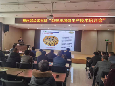 國家梨產(chǎn)業(yè)技術(shù)體系生理障礙崗助力安徽省梨產(chǎn)業(yè)發(fā)展