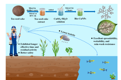 《Chemical Engineering Journal》刊發(fā)我校操海群教授團隊關于生物合成納米銅的最新研究成果