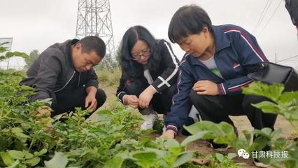 專(zhuān)注生物農(nóng)藥研發(fā) 服務(wù)綠色農(nóng)業(yè)發(fā)展--記甘肅省科學(xué)院生物研究所農(nóng)業(yè)生物技術(shù)研究室主任劉錦霞