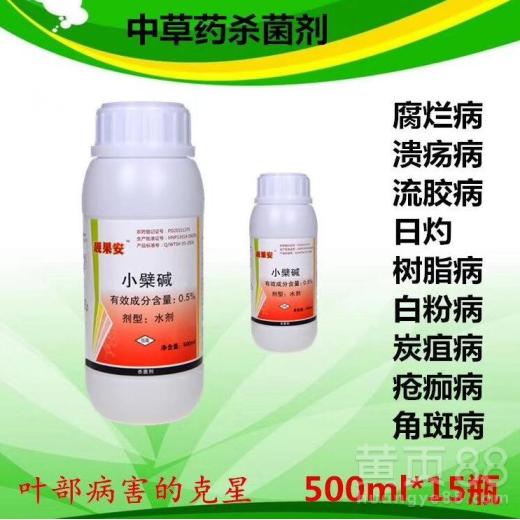 【芒果露水斑上病原因芒果露水斑防治技術(shù)】- 