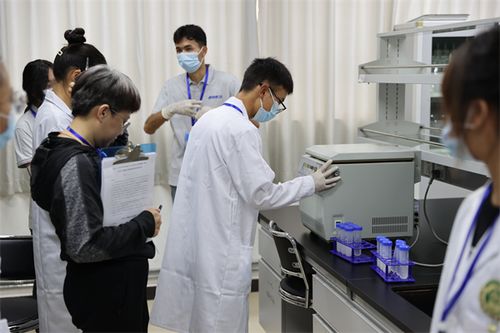 食品安全與質(zhì)量檢測 賽項在云農(nóng)職舉辦 職業(yè)教育 教育頻道