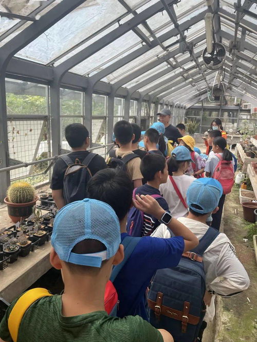 觀賞珍稀瀕危植物,參觀 綠化工廠 林學(xué)科普營,讓自然融入生活