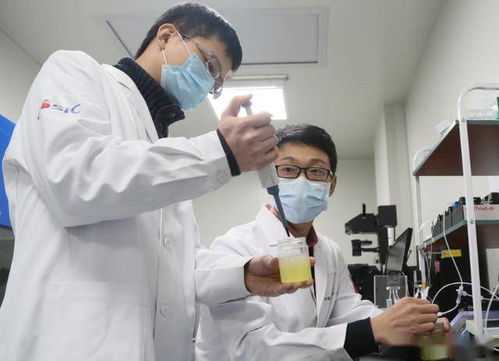 深度 疫情之下,看航天企業(yè)如何 荒野求生