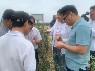寧夏重點(diǎn)研發(fā)計劃項目“枸杞病蟲害高效新型生物農(nóng)藥創(chuàng)制及精準(zhǔn)技術(shù)應(yīng)用研究”通過驗(yàn)收