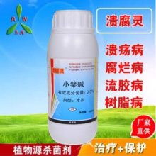  天津農(nóng)學(xué)院開發(fā)中心 主營 果樹腐爛病 果樹農(nóng)藥