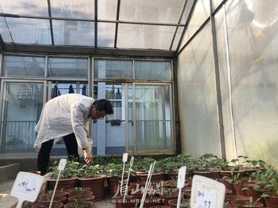 【新春走基層】龍蟒福生:助力春耕 生產(chǎn)不停