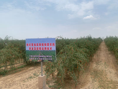 寧夏重點(diǎn)研發(fā)計(jì)劃項(xiàng)目“枸杞病蟲害高效新型生物農(nóng)藥創(chuàng)制及精準(zhǔn)技術(shù)應(yīng)用研究”通過驗(yàn)收