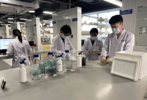 每年最高資助300萬元 深圳出臺這一政策鼓勵企業(yè)加大研發(fā)