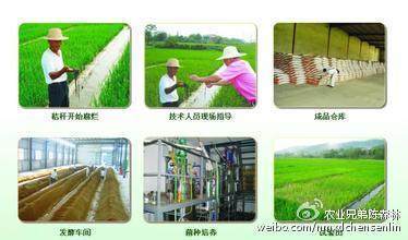 2016十大熱門農(nóng)業(yè)熱點.
