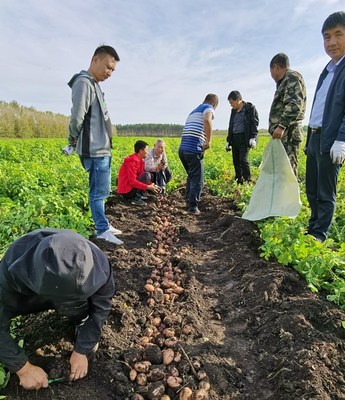 我校國家重點研發(fā)項目子課題通過驗收