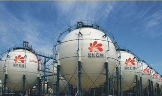 中國石油天然氣第一建設公司的資質