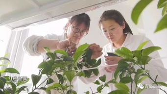 探訪知名產業(yè)園區(qū) 藍色生物醫(yī)藥產業(yè)園企業(yè)風采