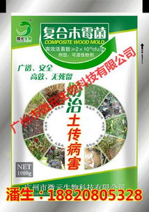 棉花猝倒病防治技術棉花猝倒病特效藥微生物復合木霉菌生物農藥