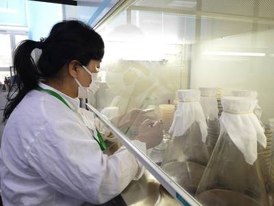 煙臺(tái)水禾土生物科技自主研發(fā)新型創(chuàng)制類生物農(nóng)藥