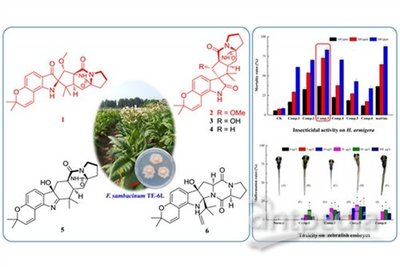 新型化合物可制造高效低毒生物農(nóng)藥