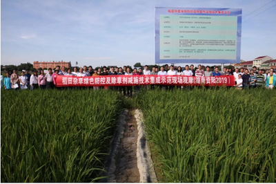 稻田雜草難防治?除草劑不管用?試試這些雜草防控新技術(shù)