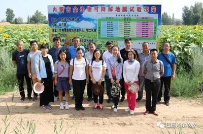 全區(qū)全生物降解地膜現(xiàn)場(chǎng)觀摩交流會(huì)在磴口縣召開(kāi)