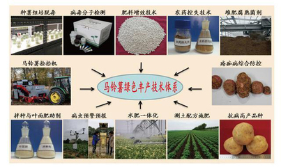 “馬鈴薯化肥農(nóng)業(yè)增效技術(shù)研發(fā)、產(chǎn)業(yè)化與精準(zhǔn)扶貧團(tuán)隊(duì)”獲得2019年度中國(guó)科學(xué)院科技促進(jìn)發(fā)展獎(jiǎng)