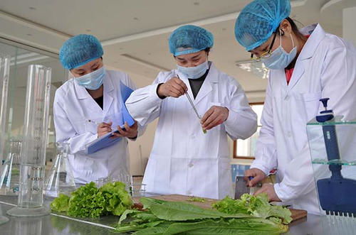 山東通報(bào)20批不合格樣品 檢出農(nóng)藥殘留超標(biāo) 微生物污染等問(wèn)題