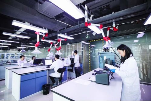安徽百納藥業(yè),多年致力痛風(fēng)降酸研究