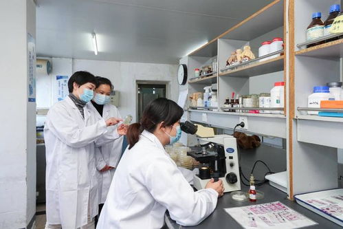 合集丨農(nóng)業(yè)新鏈 微而不凡