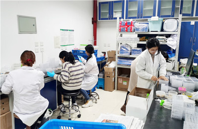 “以蟲治蟲”:南開創(chuàng)業(yè)團隊研發(fā)生物防治技術 助力鄉(xiāng)村振興
