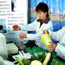 蔬菜“保險(xiǎn)柜”是什么你知道嗎?將給人們的生活帶來(lái)一份保障