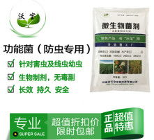 高清圖片