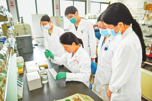 實驗室里科研忙