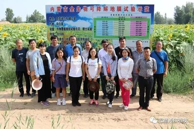 全區(qū)全生物降解地膜現(xiàn)場(chǎng)觀(guān)摩交流會(huì)在磴口縣召開(kāi)
