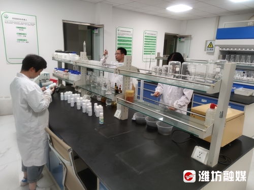 錨定現(xiàn)代化 改革再深化 青州 奏響高質(zhì)量發(fā)展 進(jìn)行曲