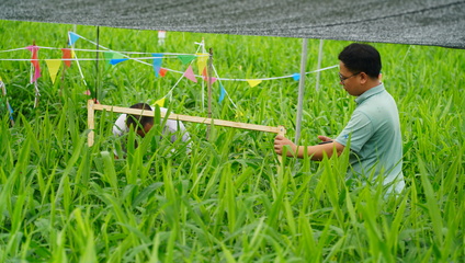 2024年全省生姜姜瘟病生物防治技術(shù)培訓(xùn)會(huì)在犍為舉行