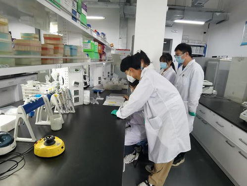 這群大學(xué)生固守祖國(guó)西北農(nóng)田,用前沿生物技術(shù)解決農(nóng)藥難題