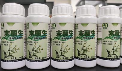 生物農(nóng)藥“末麗生”為小麥病蟲害防治帶來新突破