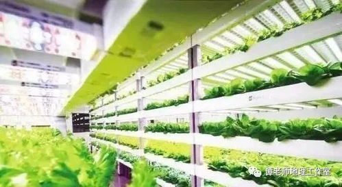 植物工廠是個(gè)什么鬼 我國全球第二,關(guān)于植物工廠你需要掌握的地理知識(shí)