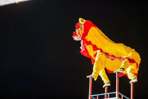 全國非遺絕技輪番上演 絕世千鳥圖驚艷亮相 中國丹寨非遺周是個(gè)什么周