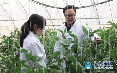 大學(xué)生創(chuàng)業(yè)之星|安仲濤:療愈受傷的土地